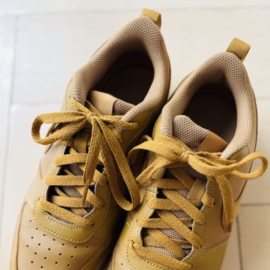 Nike Court Borough Low 2