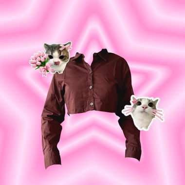 Brown Cropped Shirt