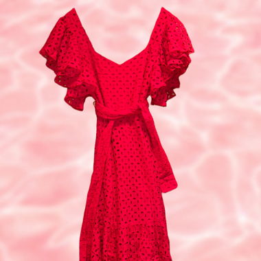 ZARA - EMBROIDERED MIDI DRESS FUCHSIA