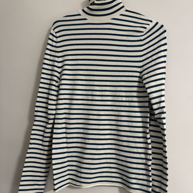 Striped Turtleneck Sweater