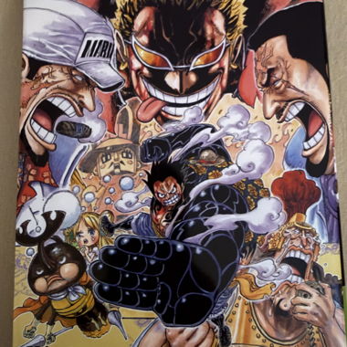 One Piece Volume 79 Manga in French