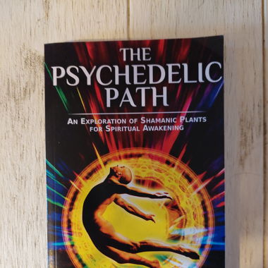 The Psychedelic Path - Richard L. Haight