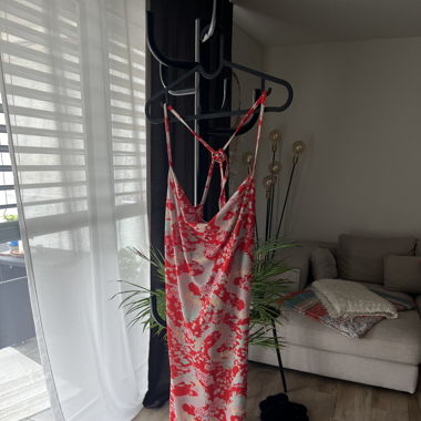 Dragon Dress