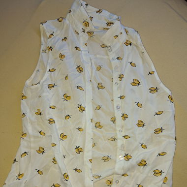Bluse