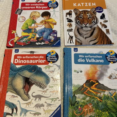 4 libri di saggistica per bambini: Dinosauri, Vulcani, Corpo,