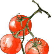 Salsa