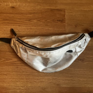 Silver Banana Bag