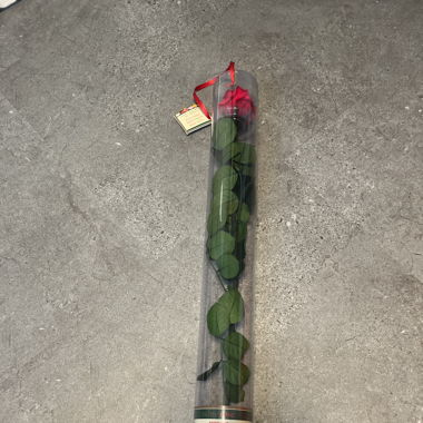 Rosen