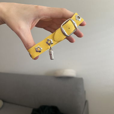 collier pour chien en cuir