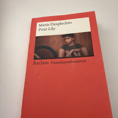 Pour Lily – Marie Desplechin