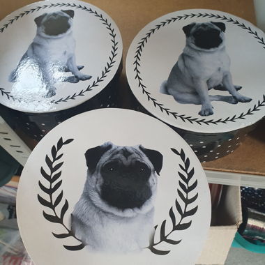 Round cardboard boxes with pug, set of 3