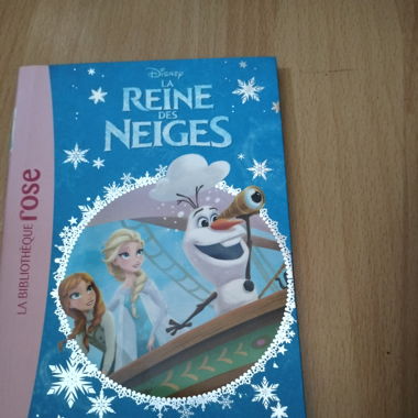 Livre reine des neiges