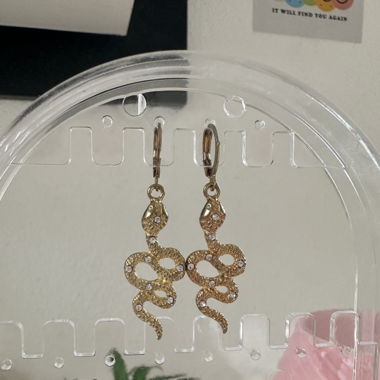 pair of earrings