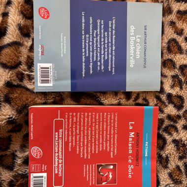 Paket mit 2 Taschenbüchern Sherlock Holmes