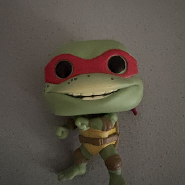 Ninja Turtle Figurine