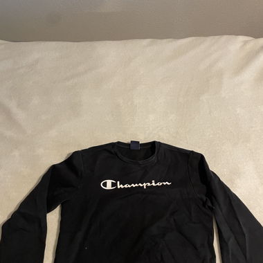 Champion sweatshirt 