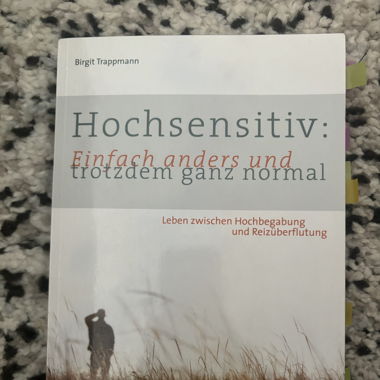 Hochsensitivität Buch 