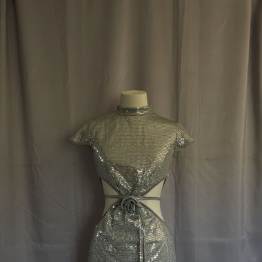 Silver Dress with Roses
