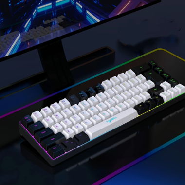 Keyboard & Mouse 