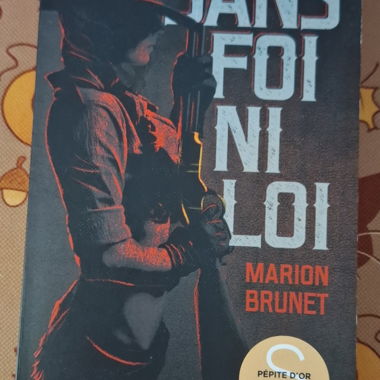 Buch Sans foi ni loi Marion Brunet