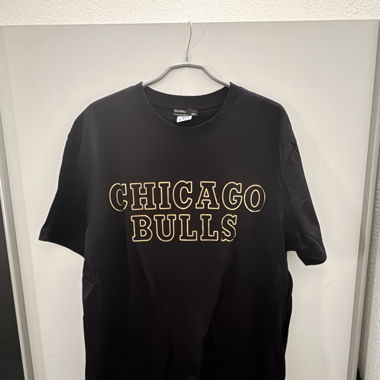 Chicago bulls 