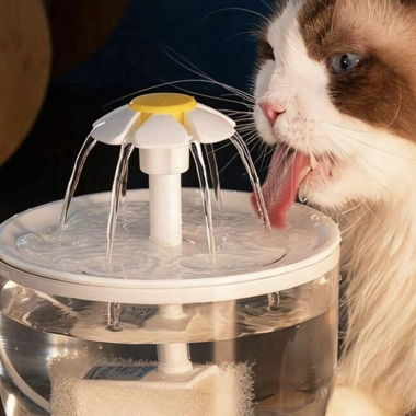 Fontaine pour chat