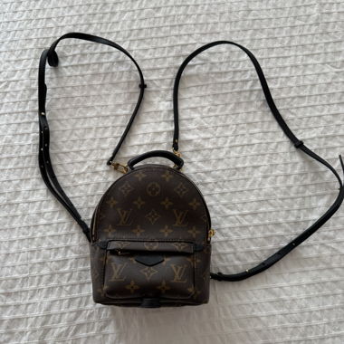 Mini zaino Palm Springs Monogram Louis Vuitton