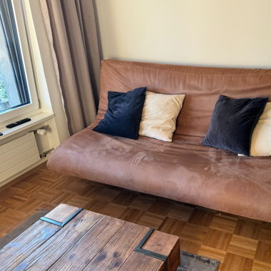 Braune Sofa