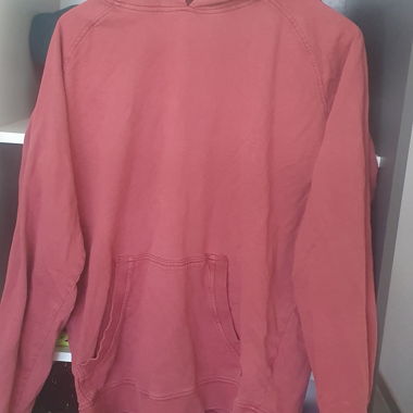 Light hooded sweatshirt