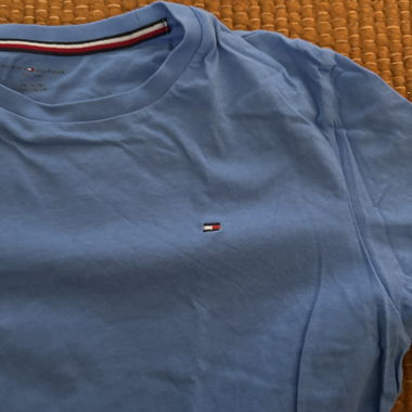 Tommy Hilfiger Blue T-Shirt