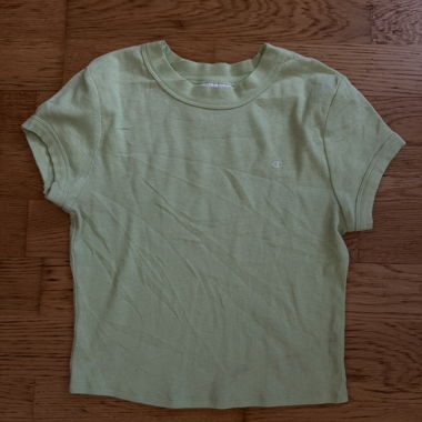 Champion Crop Top 