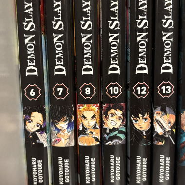 Bände 6-7-8-10-12-12 Demon Slayer