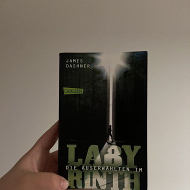 The Chosen in the Labyrinth