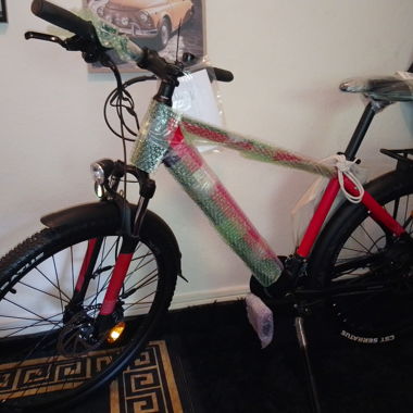 Vélo électrique 25 km/h à vendre
