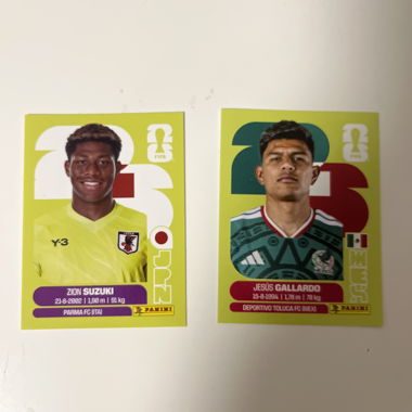 Panini FIFA Sticker Bundle
