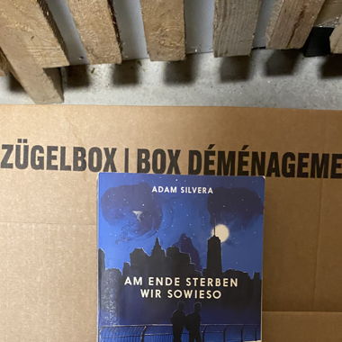 am Ende sterben wir sowieso