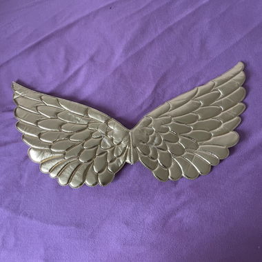 Accessoire de costume ailes