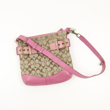 Borsa Coach