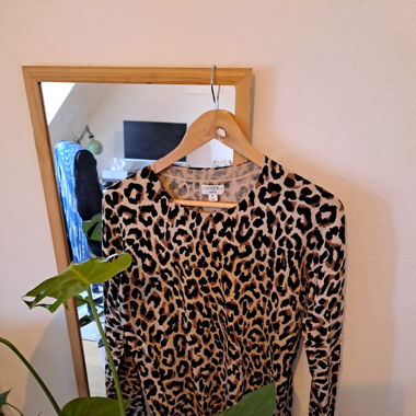 Dünner Leo Pulli