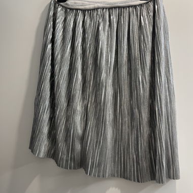 Silver Pleated Skirt