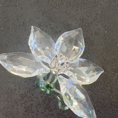 Swarovski Kristallorchidee