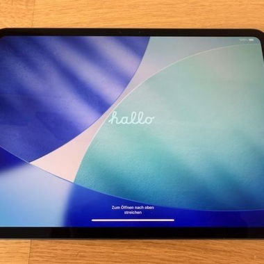 iPad Pro 11" M4 256 GB