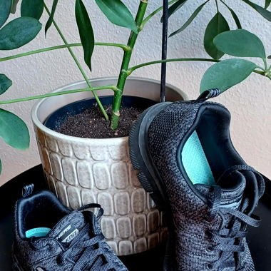 Sketchers Dual Lite