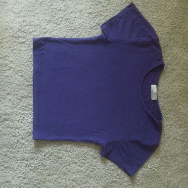 Violet Crop Top
