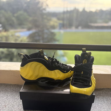 Nike Air Foamposite One Wu-Tang