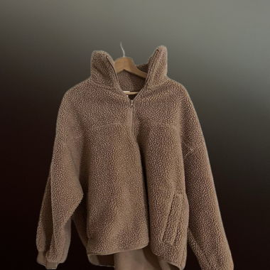 Teddy Pulli