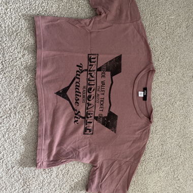 BDG Old Rose T-Shirt