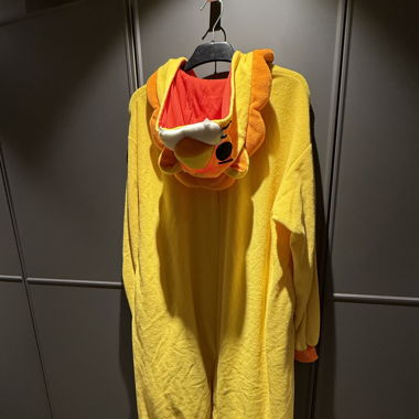 Combinaison/costume lion adulte
