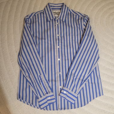 Blue Striped Shirt