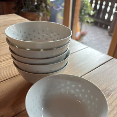 Lot de 6 bols à riz, miso, nouilles